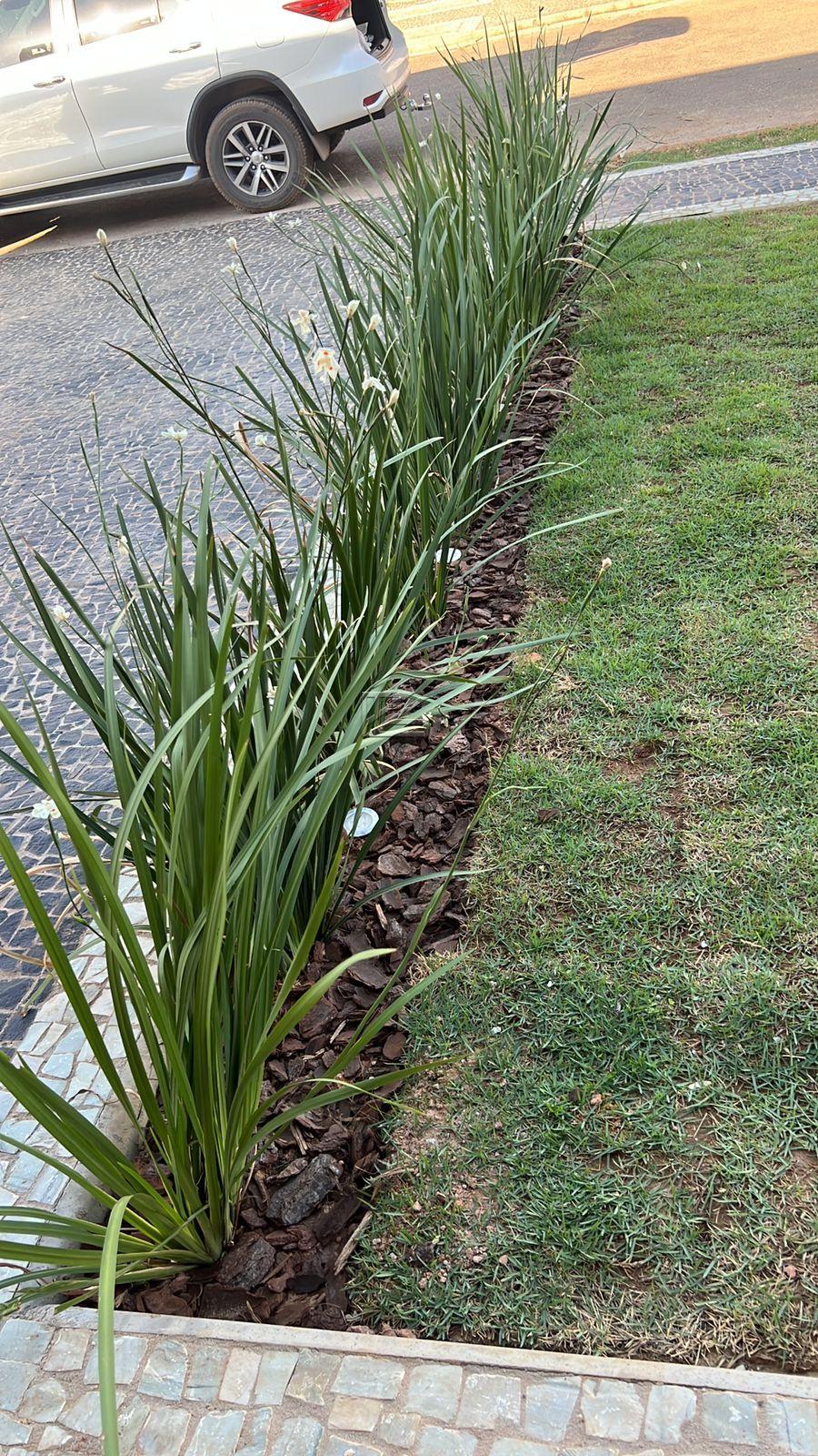  - Casa com 4 quartos, 239,40m², à venda